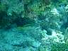 DSC03009.JPG