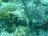 DSC03013.JPG