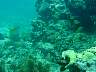 DSC03020.JPG