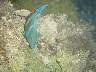 DSC03054.JPG