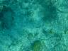 DSC03155.JPG