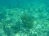 DSC04275.jpg