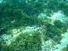 DSC04299.jpg