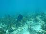 DSC04308.jpg