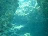 DSC04313.jpg