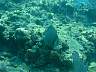 DSC04320.jpg