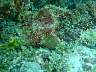 DSC04321.jpg