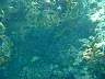 DSC04323.jpg
