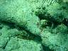 DSC04327.jpg